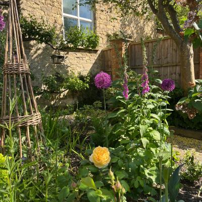Garden View #2