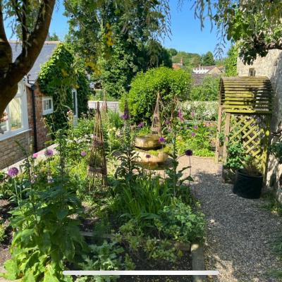 Garden View #4