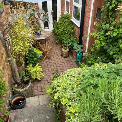Garden View #8