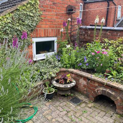 Garden View #5