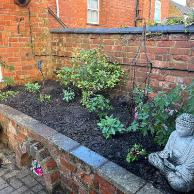 Garden View #9