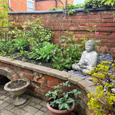Garden View #6