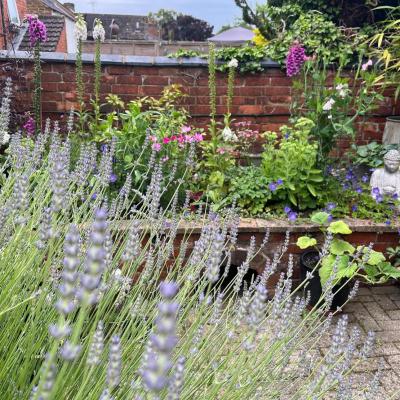 Garden View #10